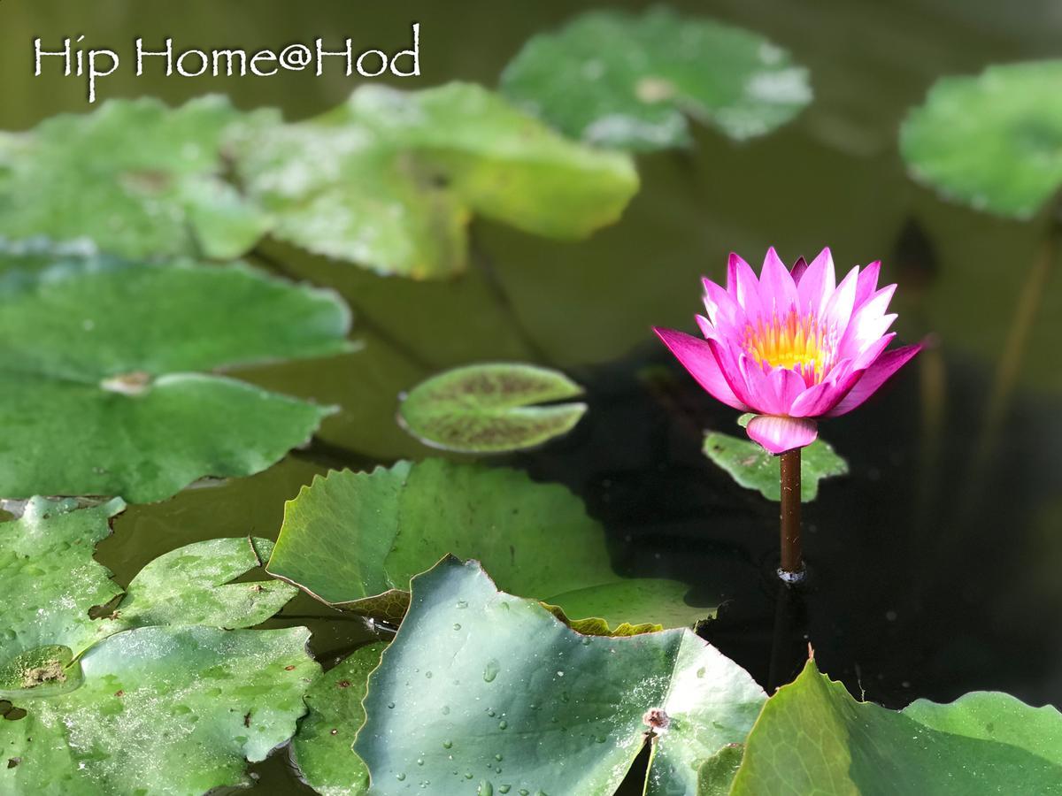 Hip Home At Hod Hot Екстериор снимка